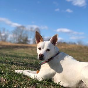 Meet your Posher, Bailee